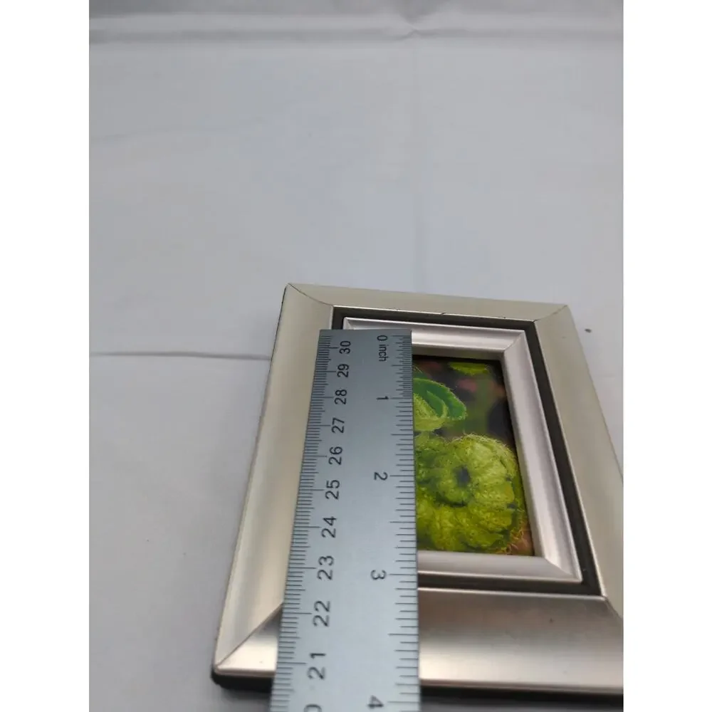Original Fiddlehead Fern Macro Photo 4x6 Silver Tone Frame Botanical Art